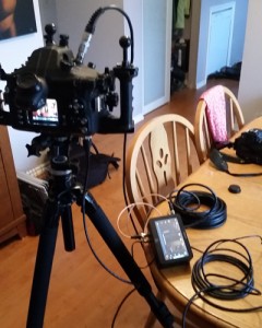 Hdmi cord output and DC power input to Aquatica housing and Nikon D800