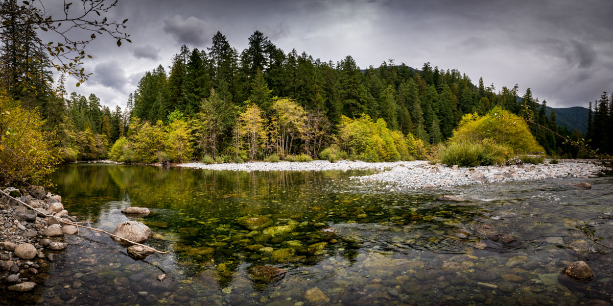  Gold River and Muchalat River