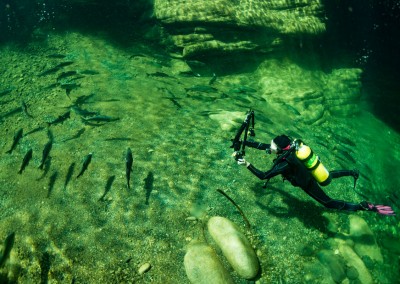 underwater salmon photography tours