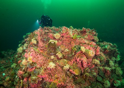 coldwater reef tahsis inlet