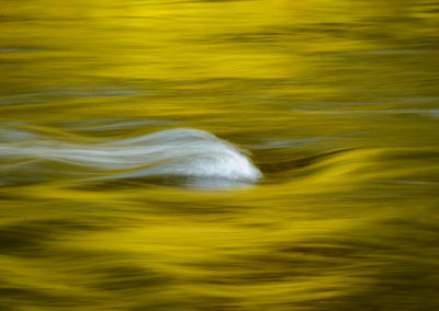 golden light on rushing water