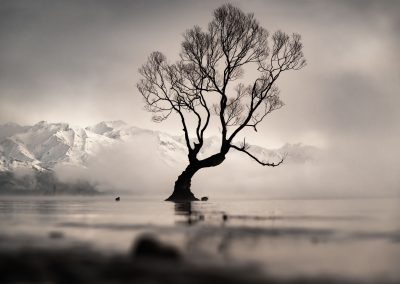 Moody skies over Lake Wānaka and the famous tree